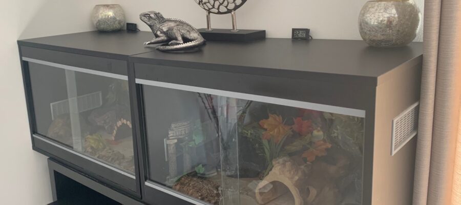 Which home should I get for my leopard gecko?