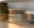 wax worms in fridge
