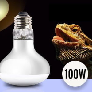 100 watt reptile heat bulb