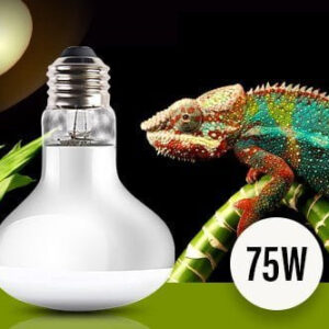 75 watt reptile heat bulb